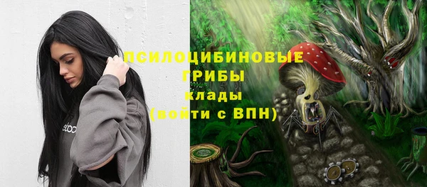 гидропоника Абдулино