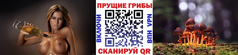 KRAKEN вход  маркетплейс клад  Каргополь  Псилоцибиновые грибы GOLDEN TEACHER  цены наркотик 