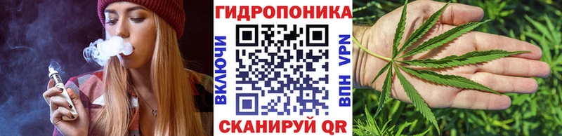 Шишки марихуана сатива  что такое   KRAKEN зеркало  Каргополь 